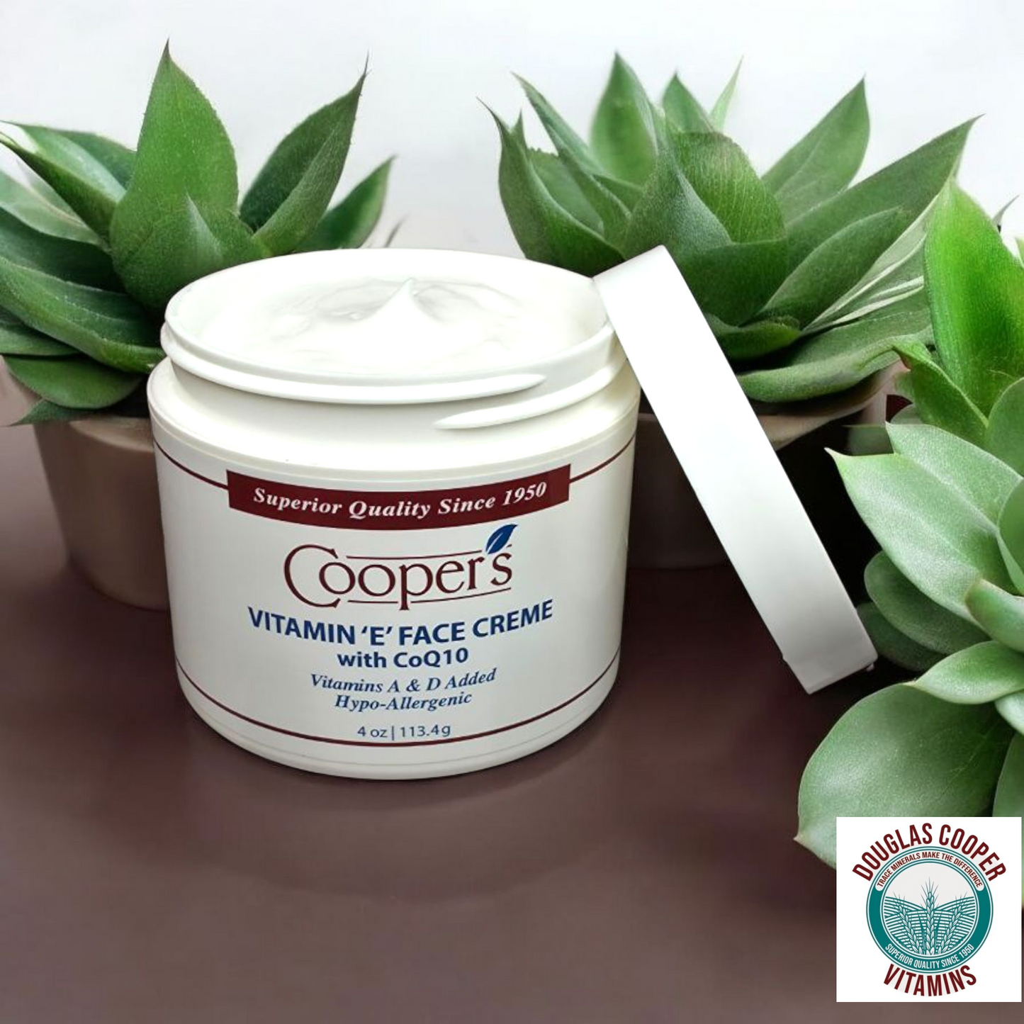 Face Cream CoQ10 & E: 4 oz Jar (WHITE- No Scent)