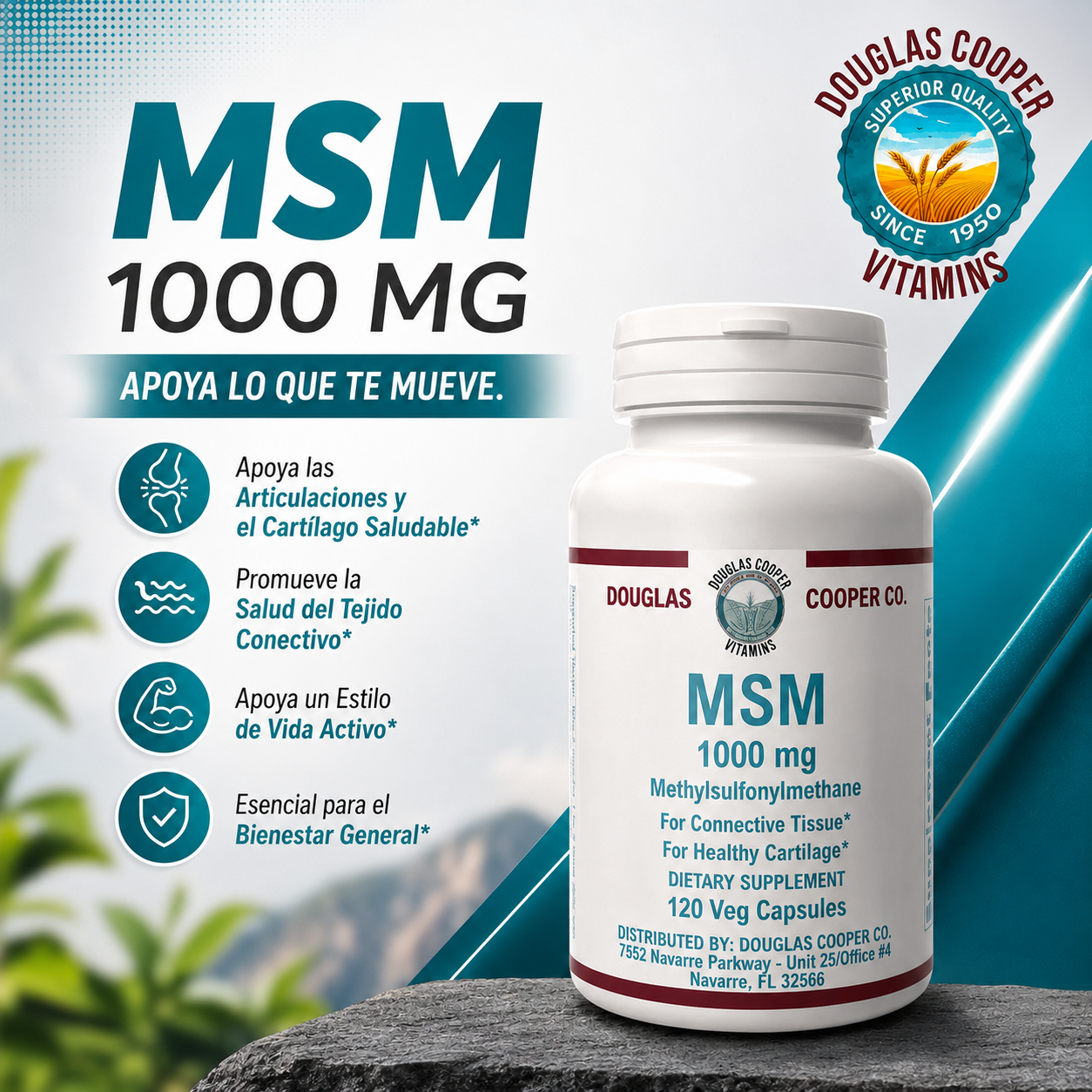 MSM