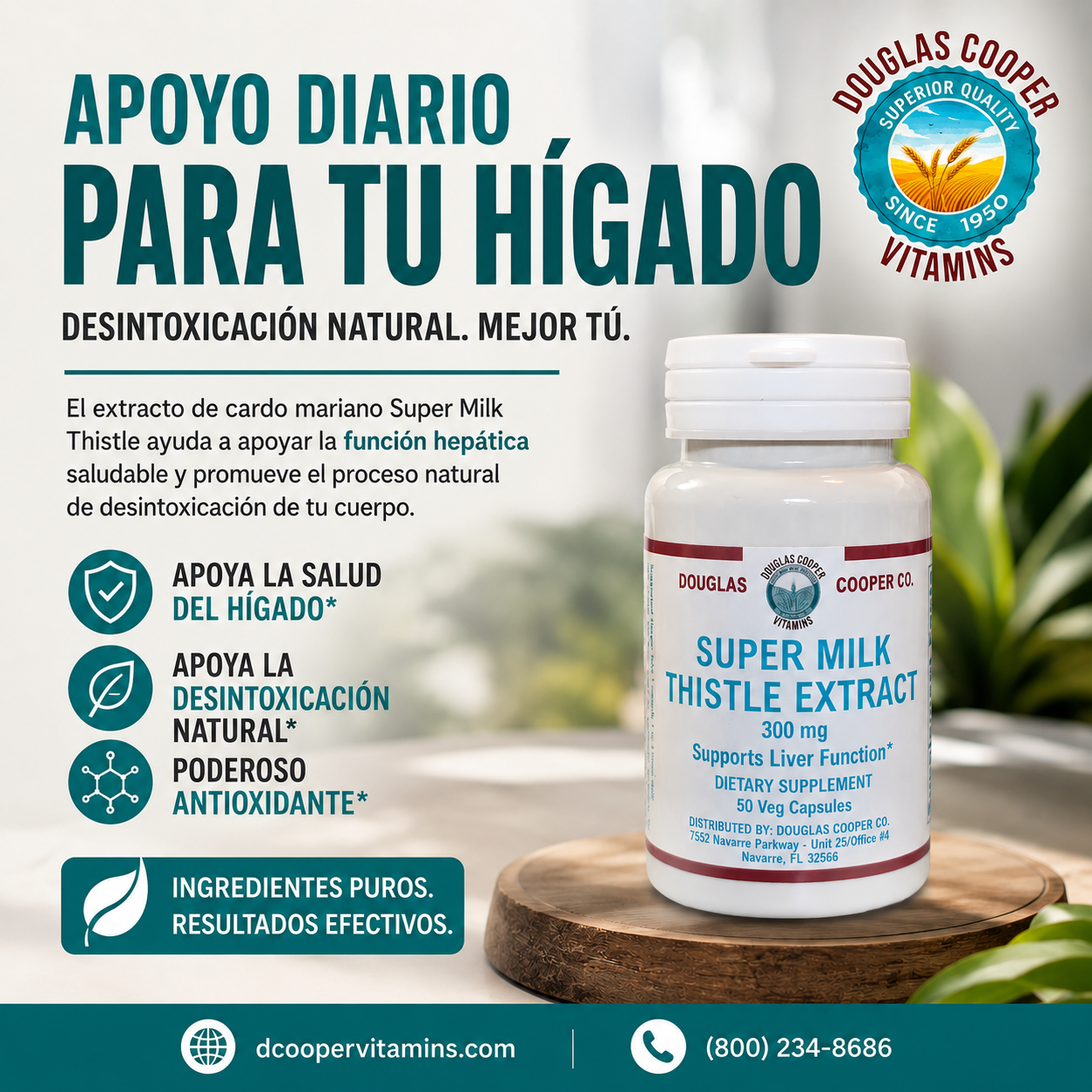 Milk Thistle Extract (Super): 300mg, 50 Vcaps