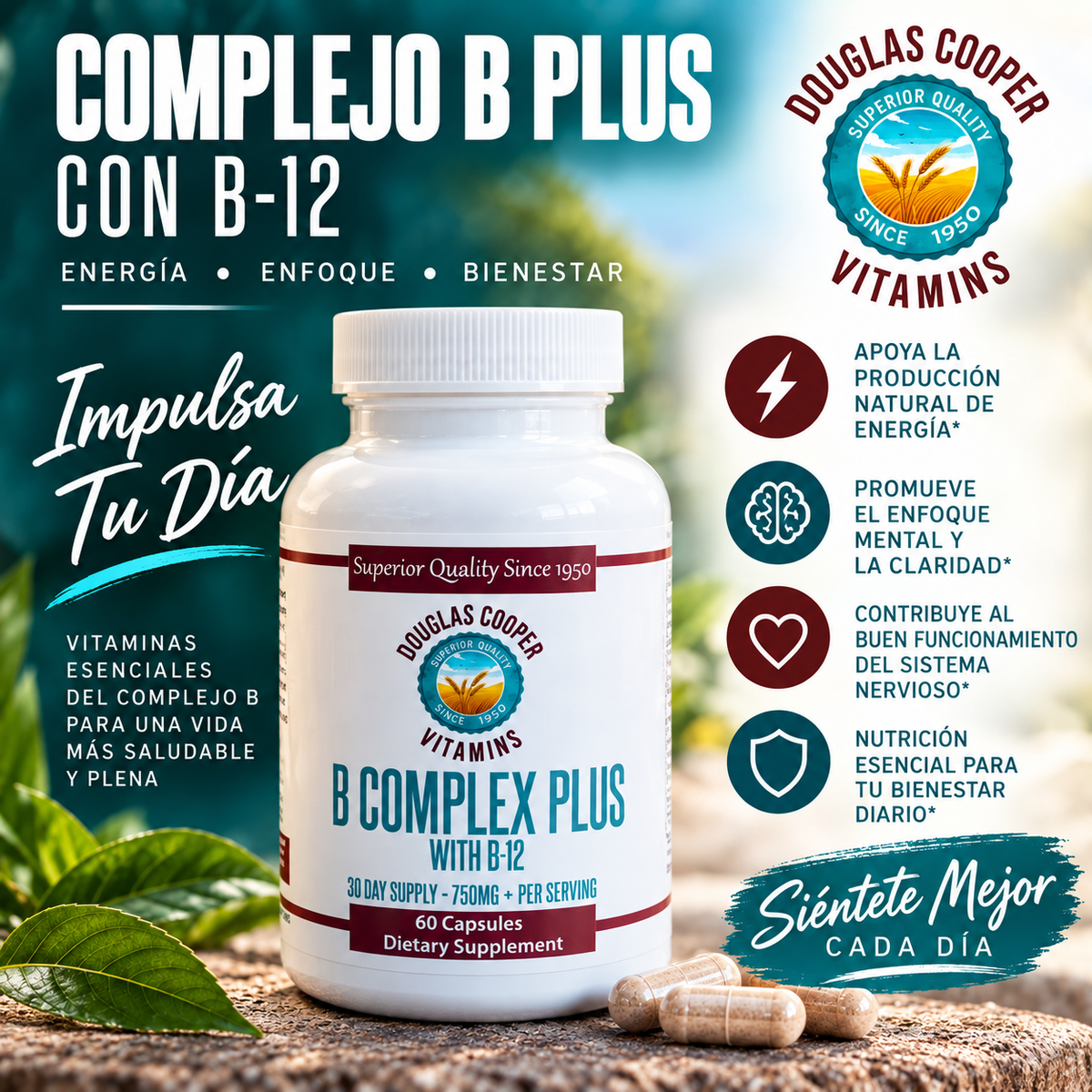 B-Complex PLUS: 2,000mcg B12 & Vit C
