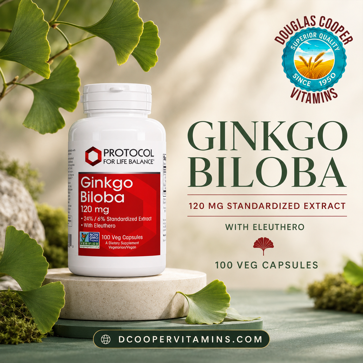 Ginkgo Biloba