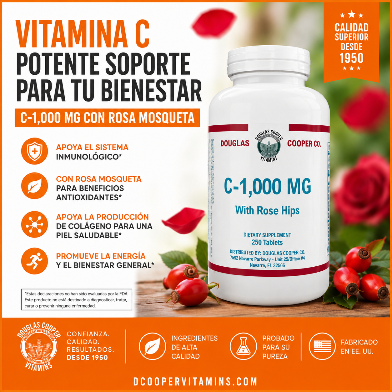 C 1,000mg: One Gram with Rose Hips, 250 Tabs