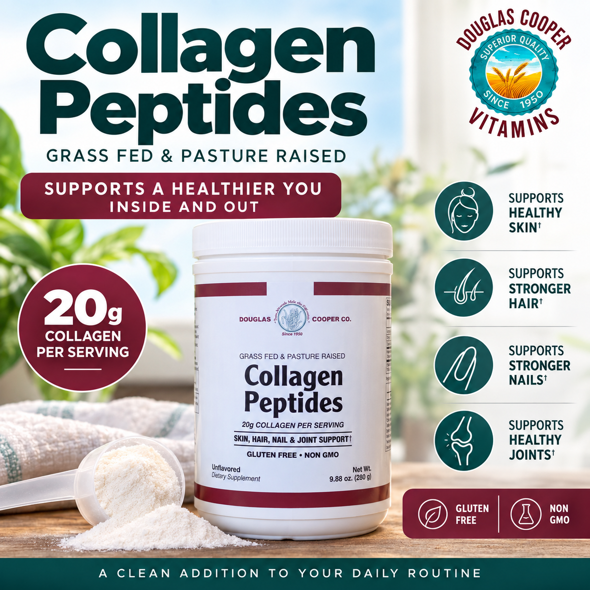 Collagen Peptides Powder, Unflavored.   20 grams