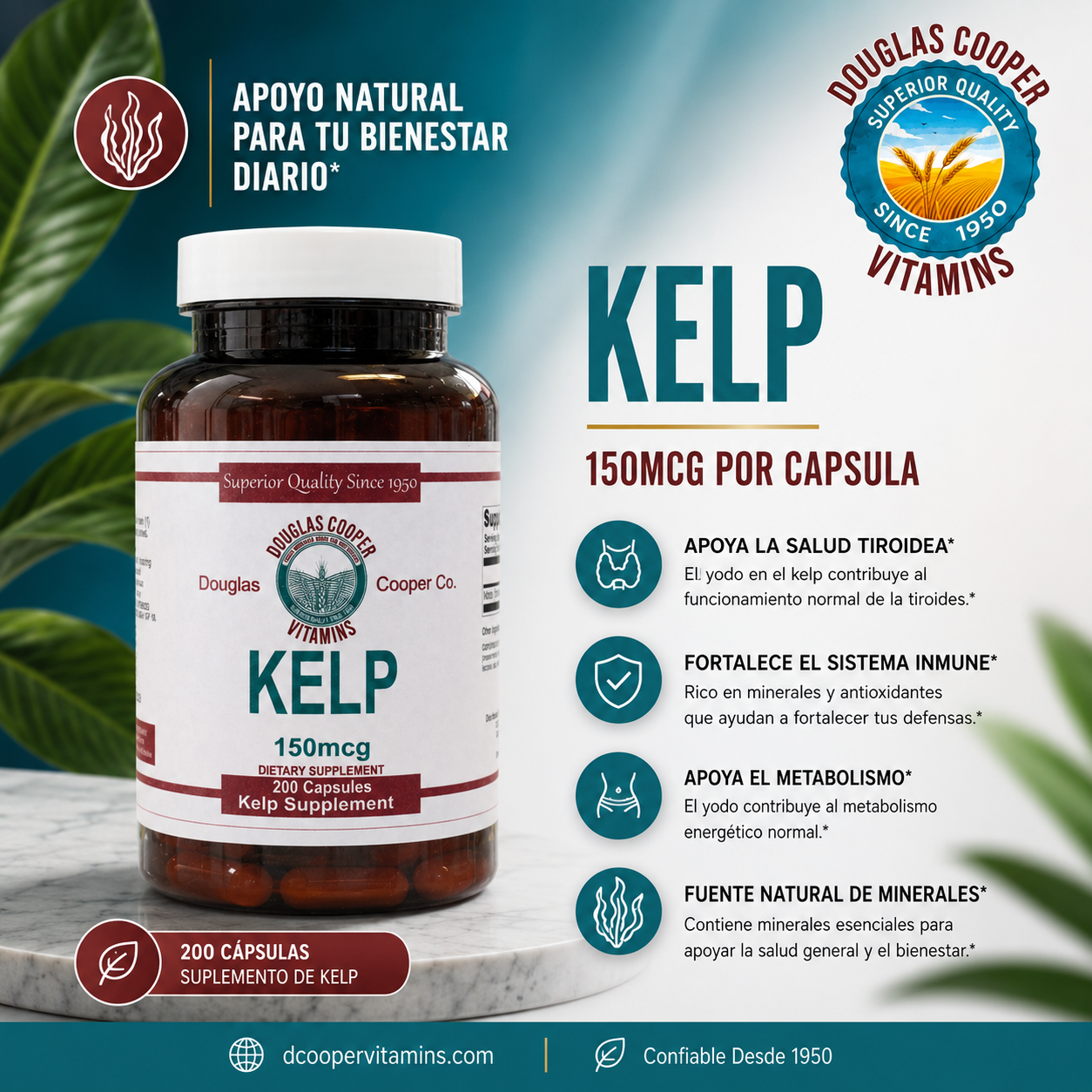 Kelp: 150mcg 200 Caps