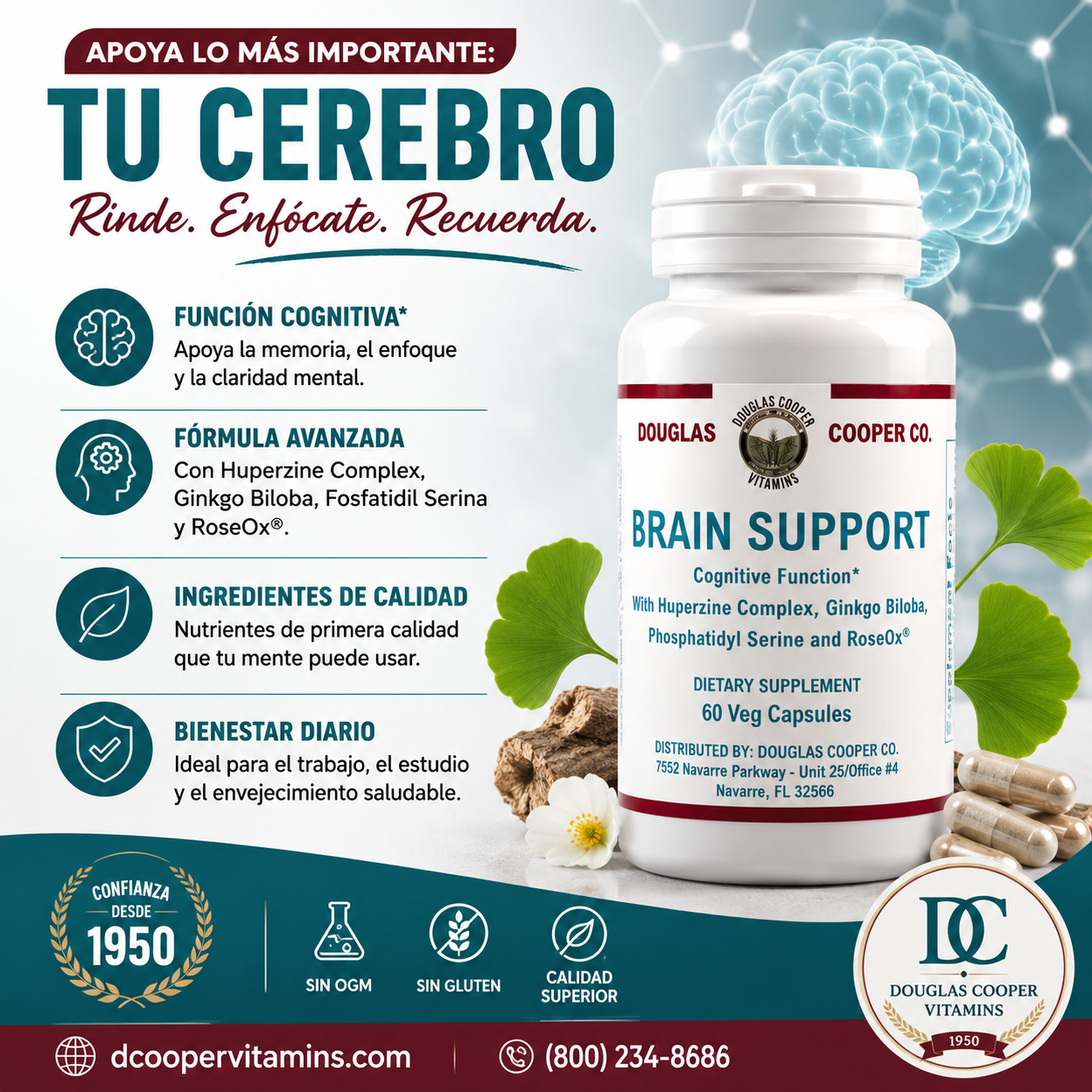 Apoyo cerebral: 60 cápsulas vegetales