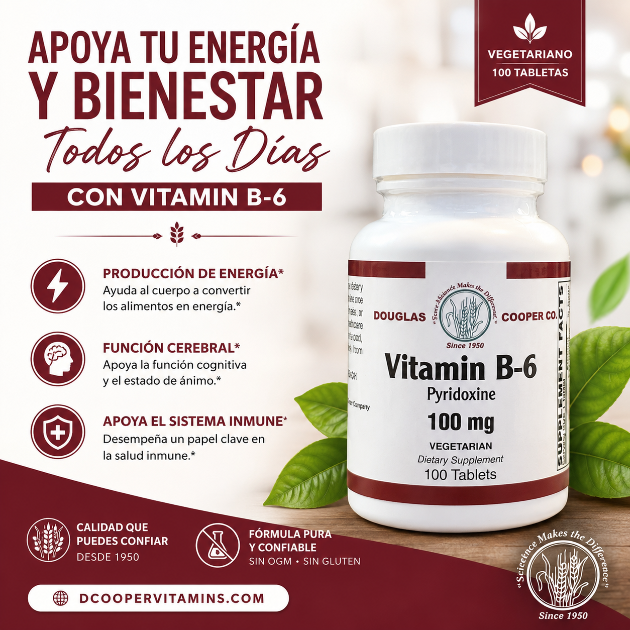 B-6: 100 mg, 100 comprimidos