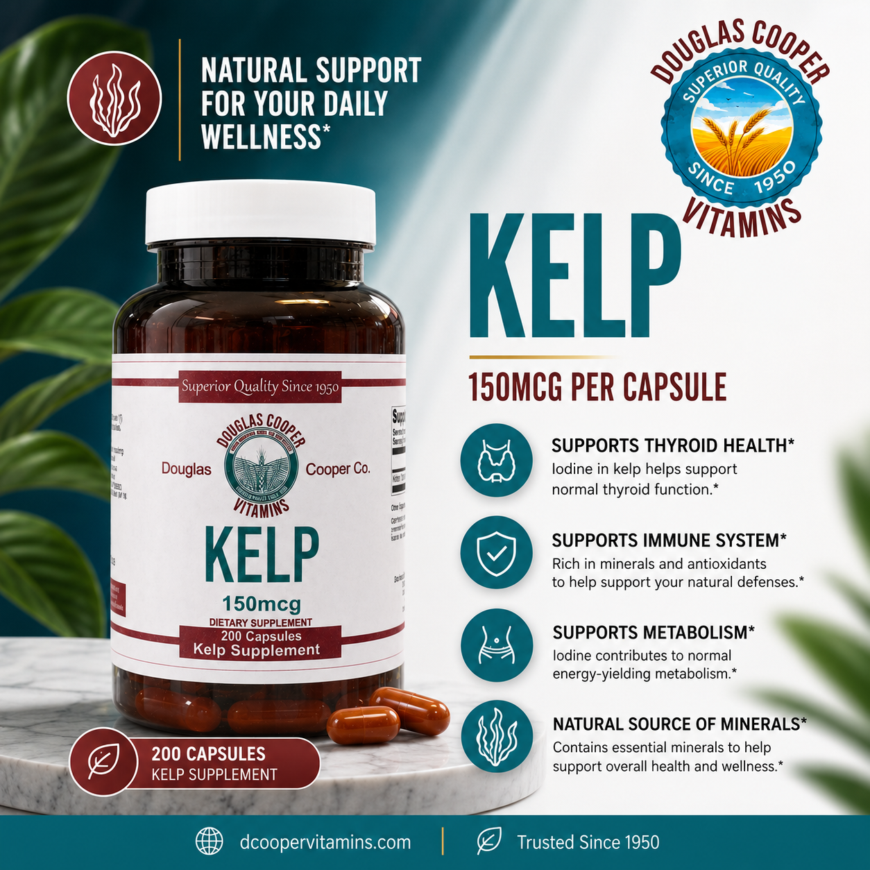 Kelp: 150mcg 200 Caps