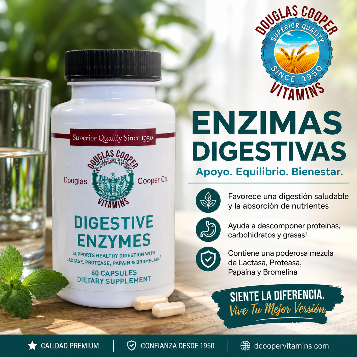 Digestive Enzymes: 60 Caps