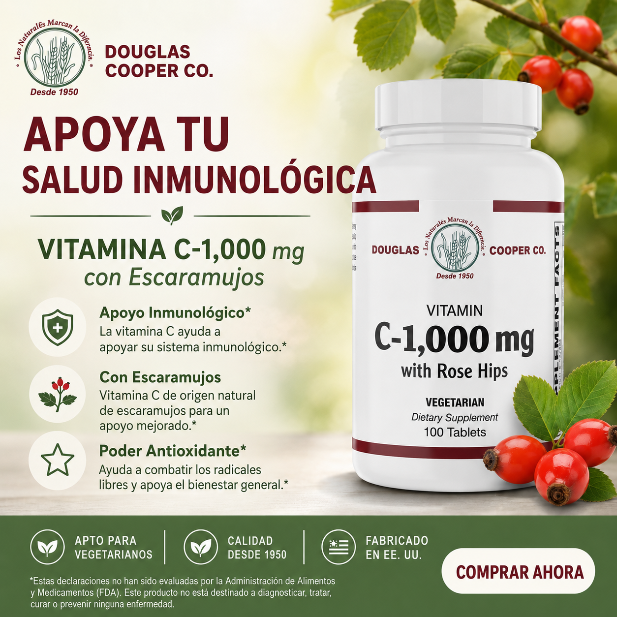 Vitamin C 1000 mg with Rose Hips – 100 Tabs