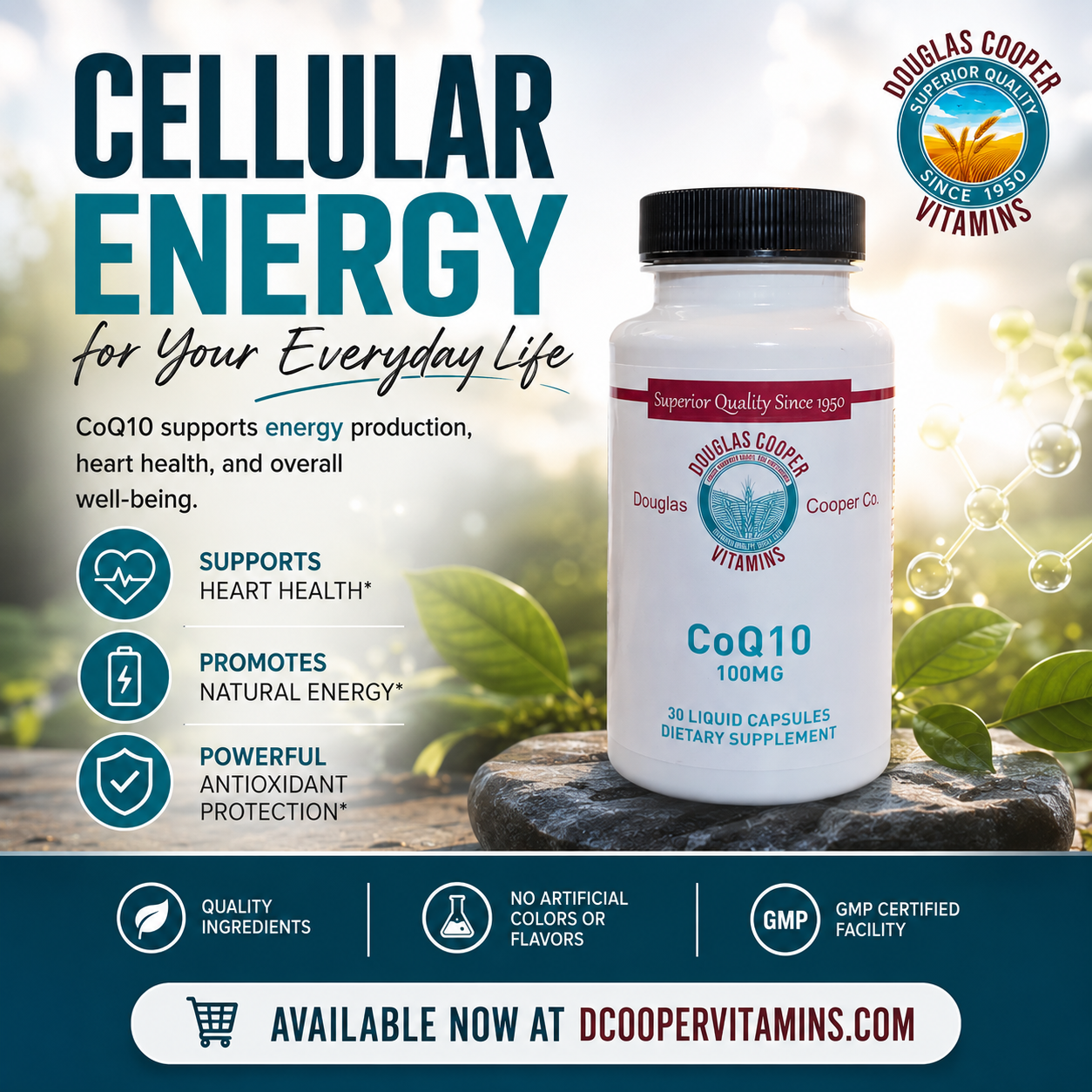 CoQ10: 100mg