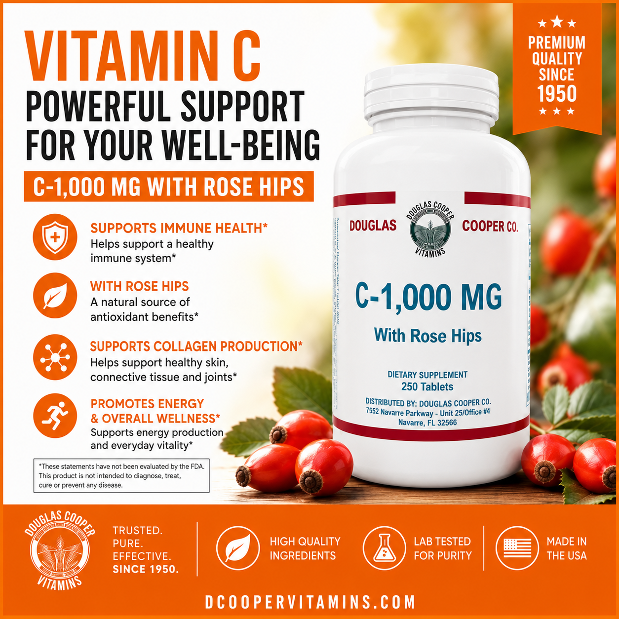 C 1,000mg: One Gram with Rose Hips, 250 Tabs