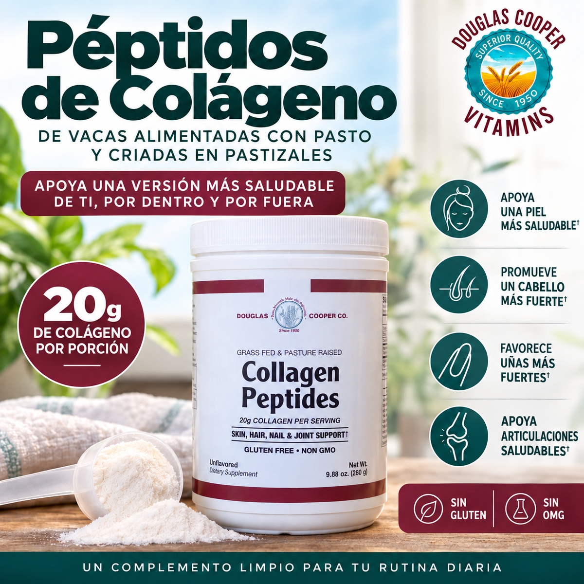 Collagen Peptides Powder, Unflavored.   20 grams
