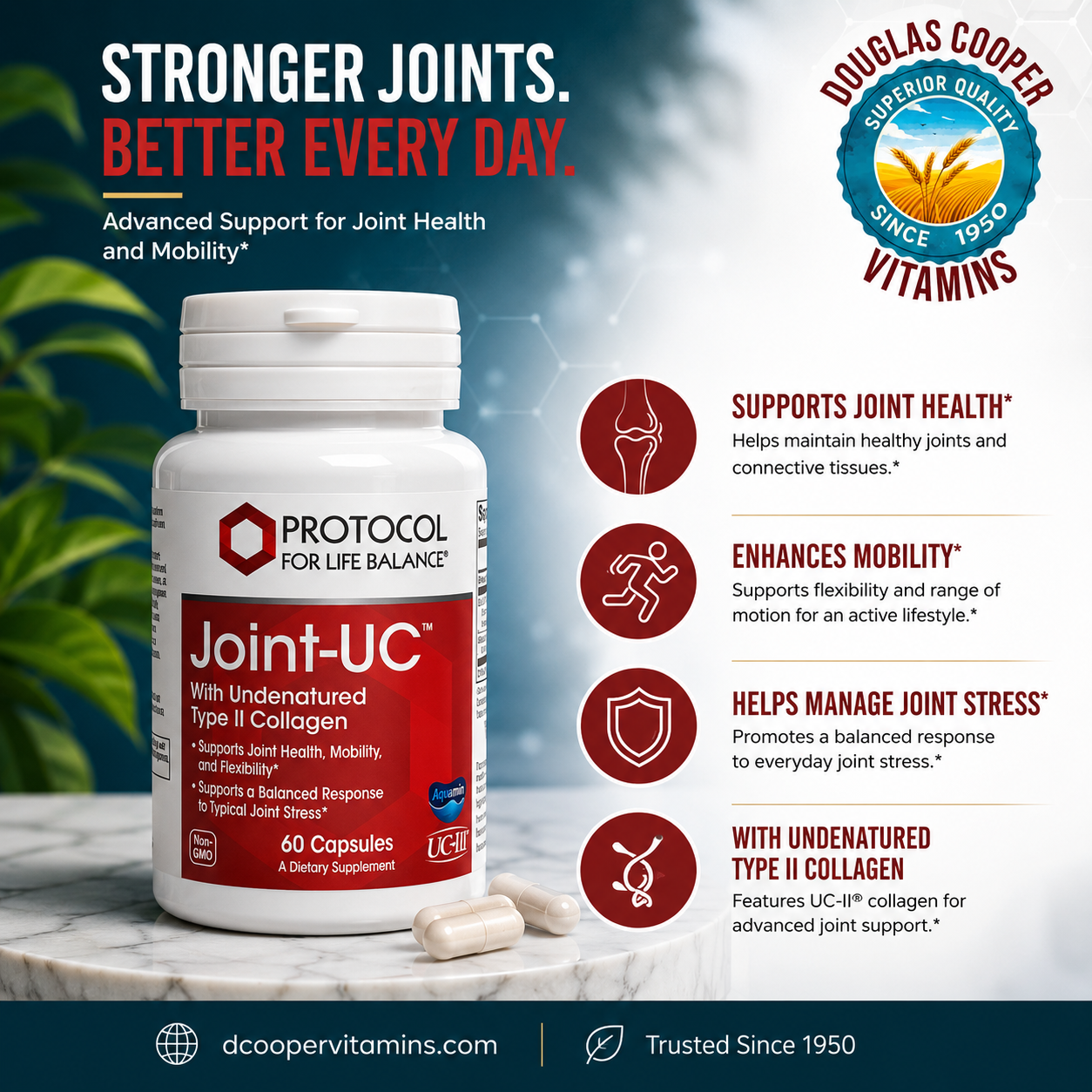 Joint UC  Collagen