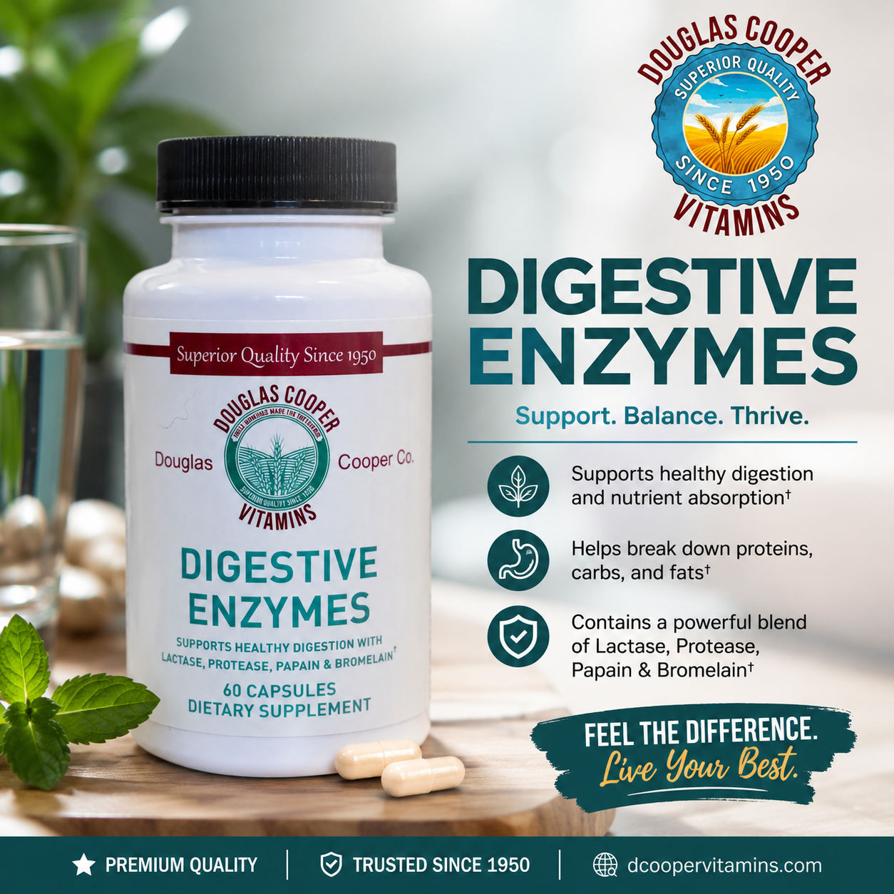 Digestive Enzymes: 60 Caps