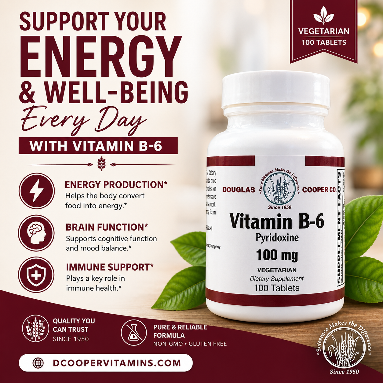 B-6: 100 mg, 100 comprimidos