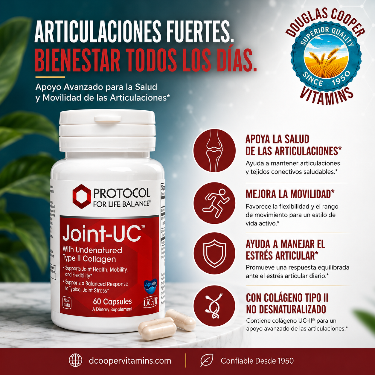 Joint UC  Collagen
