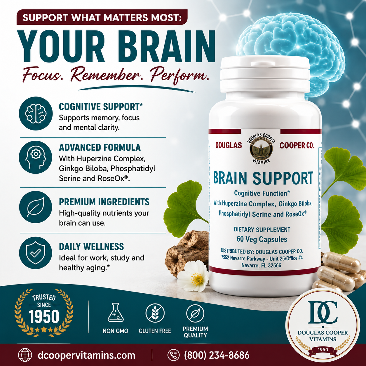 Apoyo cerebral: 60 cápsulas vegetales