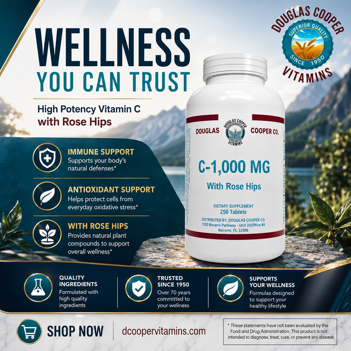 C 1,000mg: One Gram with Rose Hips, 250 Tabs