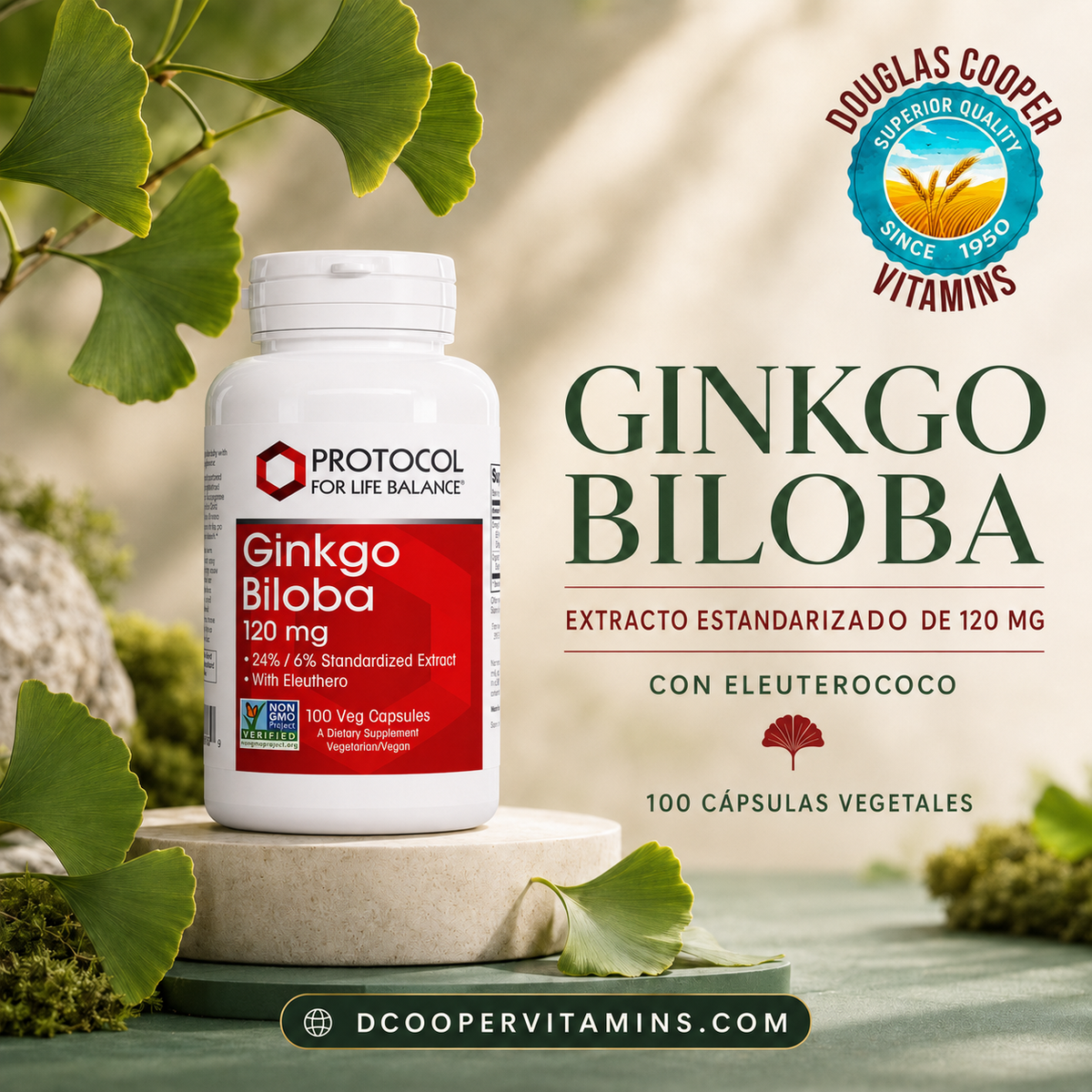 Ginkgo Biloba